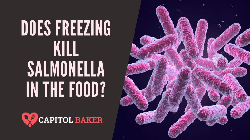 Does Freezing Kill Salmonella In The Food? The Capitol Baker