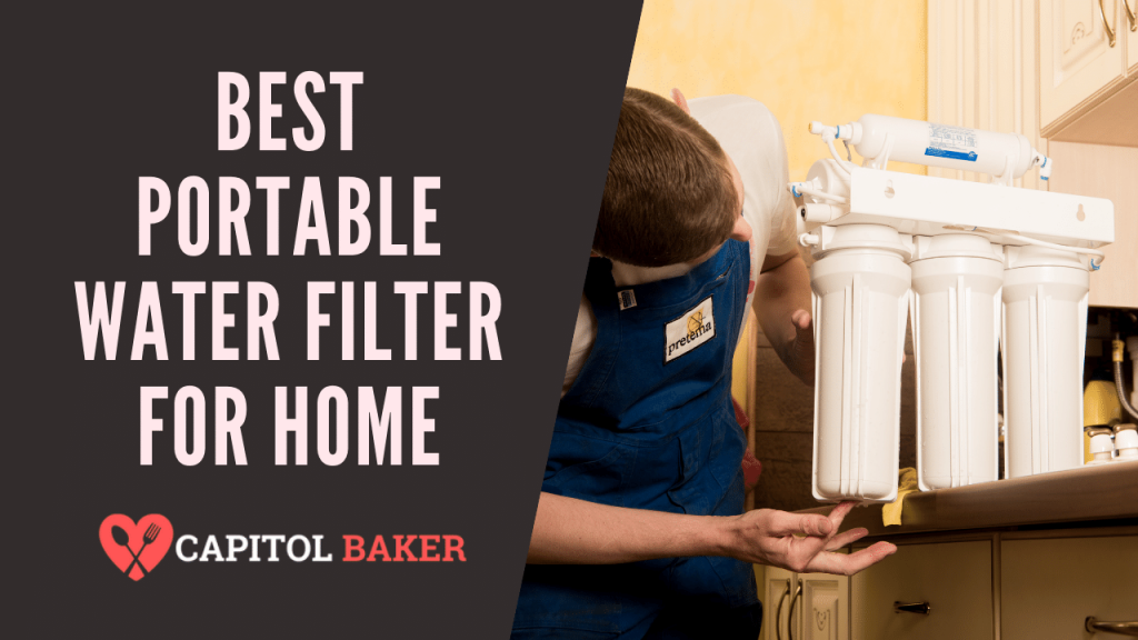 The Best Portable Water Filter For Home in 2021 The Capitol Baker